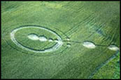 Minnesota Crop Circle