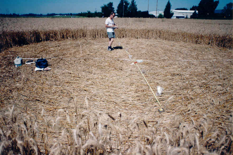 BLT Research Team - Crop Circles and other phenomena