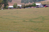 8-13-06-caldwell-hollow-wva-grass-ringsblog