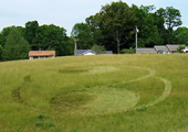 5-27-07-washevillenc_grass_cropped