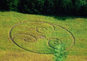 9-07-waynecountyohio_soybeans_cropped